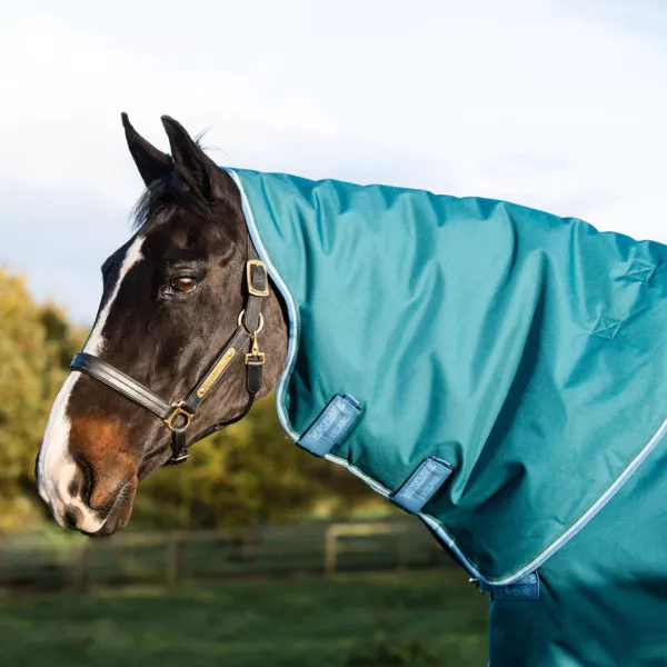 Stable Blankets – Picov's Tack Shop