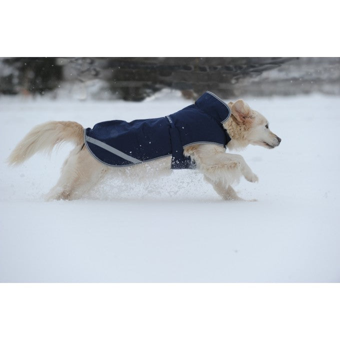 Dog blanket jacket hot sale