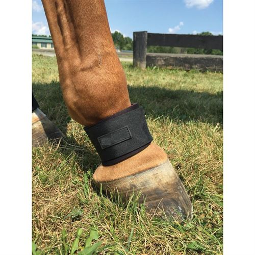 Fetlock wraps 2025