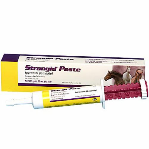 Strongid dewormer for clearance puppies