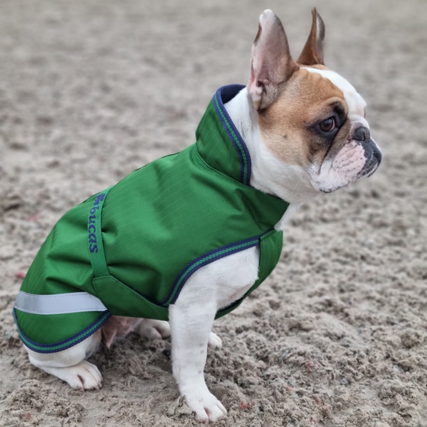 Bucas Freedom Dog Blanket 300G Fill Picov's Tack Shop