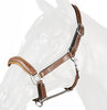 Antarès Leather Halter - Discontinued / Cob ONLY