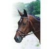 HDR Advantage Lined Event Bridle with Reins + Free Name Tag