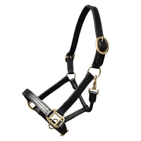 Griffith Leather Halter
