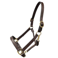 Griffith Leather Halter