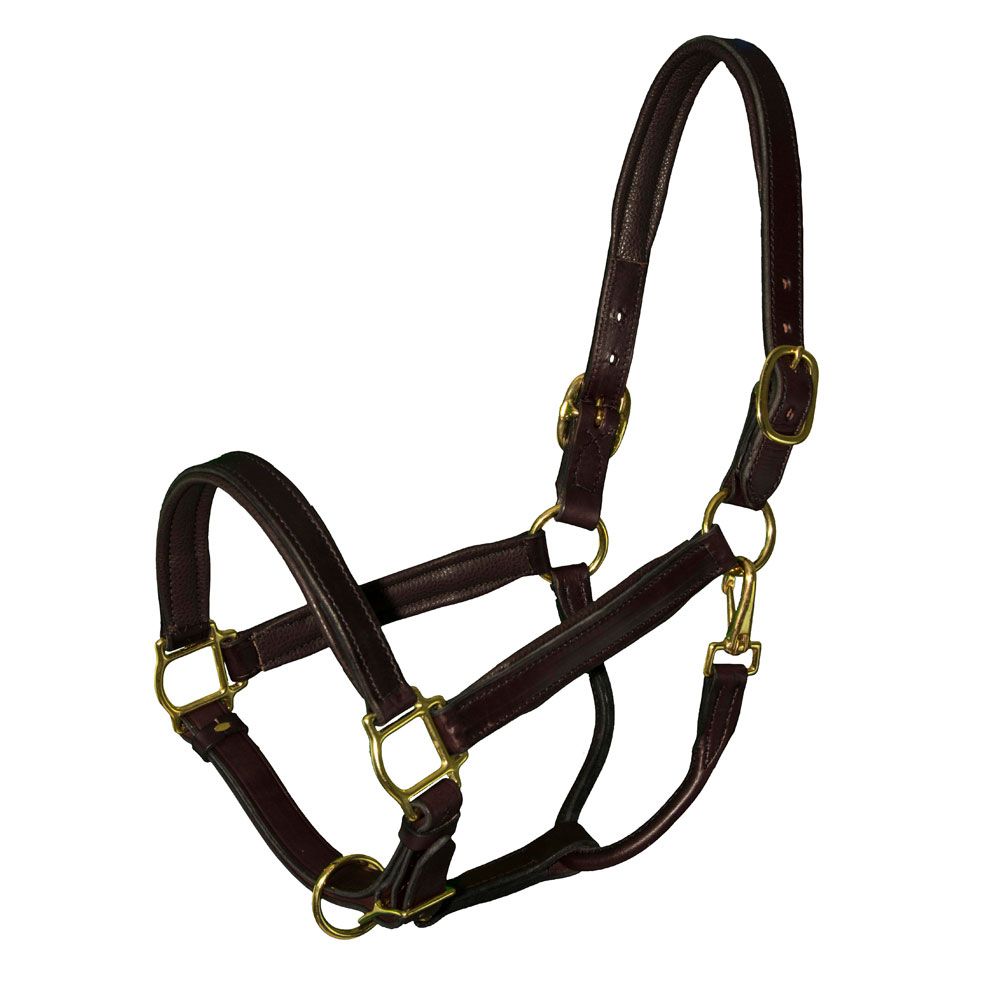 Bromont Deluxe Foal or Shetland Padded Leather Halter
