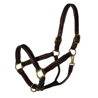 Bromont Deluxe Foal or Shetland Padded Leather Halter