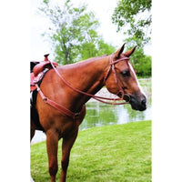 SIERRA Double & Stitched Harness Leather Brow Headstall