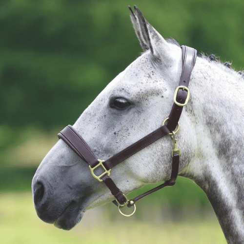Blenheim Leather Travel Halter