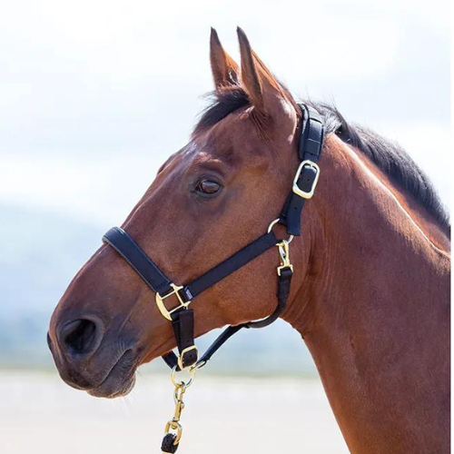 Shires Topaz Nylon Breakaway Halter