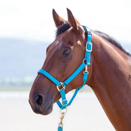 Shires Topaz Nylon Breakaway Halter