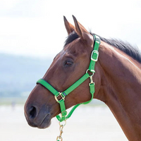 Shires Topaz Nylon Breakaway Halter