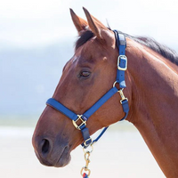 Shires Topaz Nylon Breakaway Halter