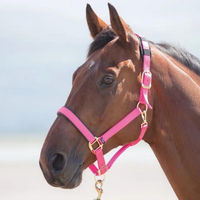 Shires Topaz Nylon Breakaway Halter