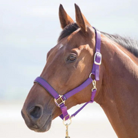 Shires Topaz Nylon Breakaway Halter