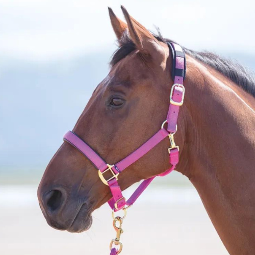 Shires Topaz Nylon Breakaway Halter