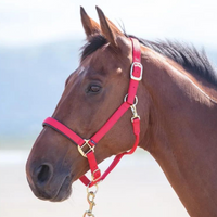 Shires Topaz Nylon Breakaway Halter