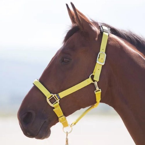Shires Topaz Nylon Breakaway Halter