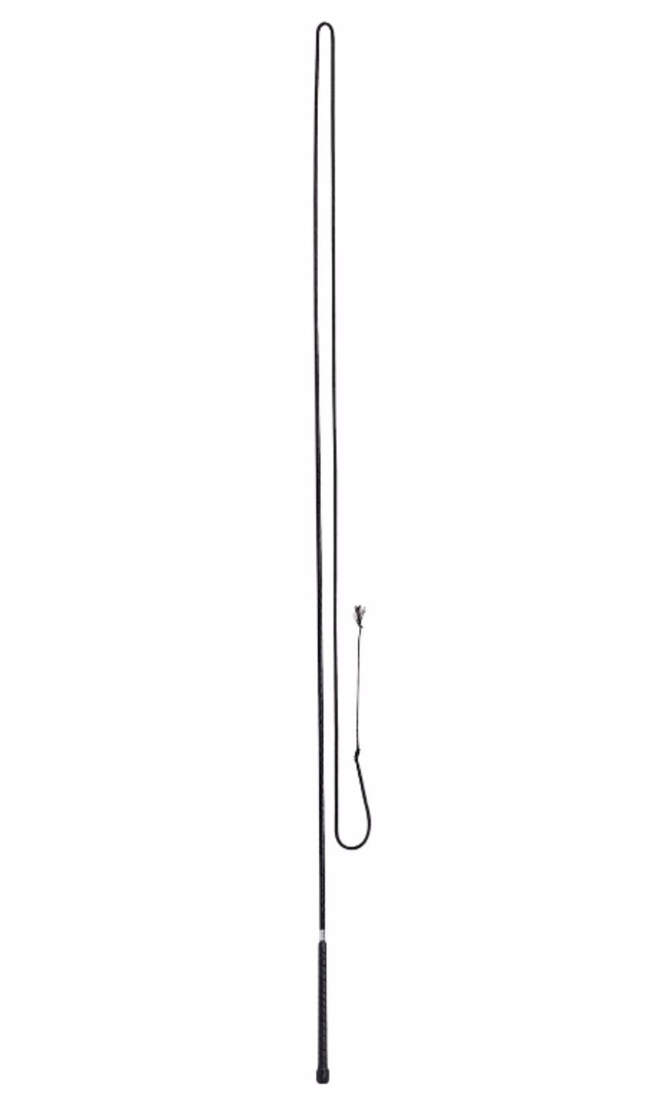 Lunge Whip - PICK UP ONLY