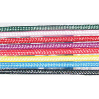 Lunge Whip - PICK UP ONLY