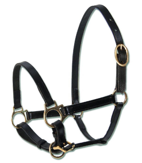 Leather Foal Halter
