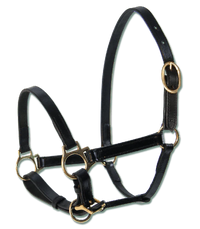 Leather Foal Halter
