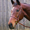 HDR Advantage Plain Raised Bridle with Reins + Free Name Tag