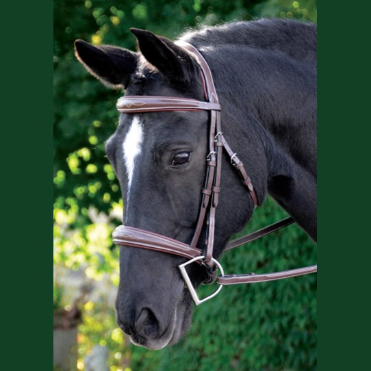 HDR Pro Stress Free Fancy Stitched Hunter Bridle + Free Name Tag
