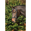 HDR Dressage Bridle w/ Crank, Flash and Web Reins
