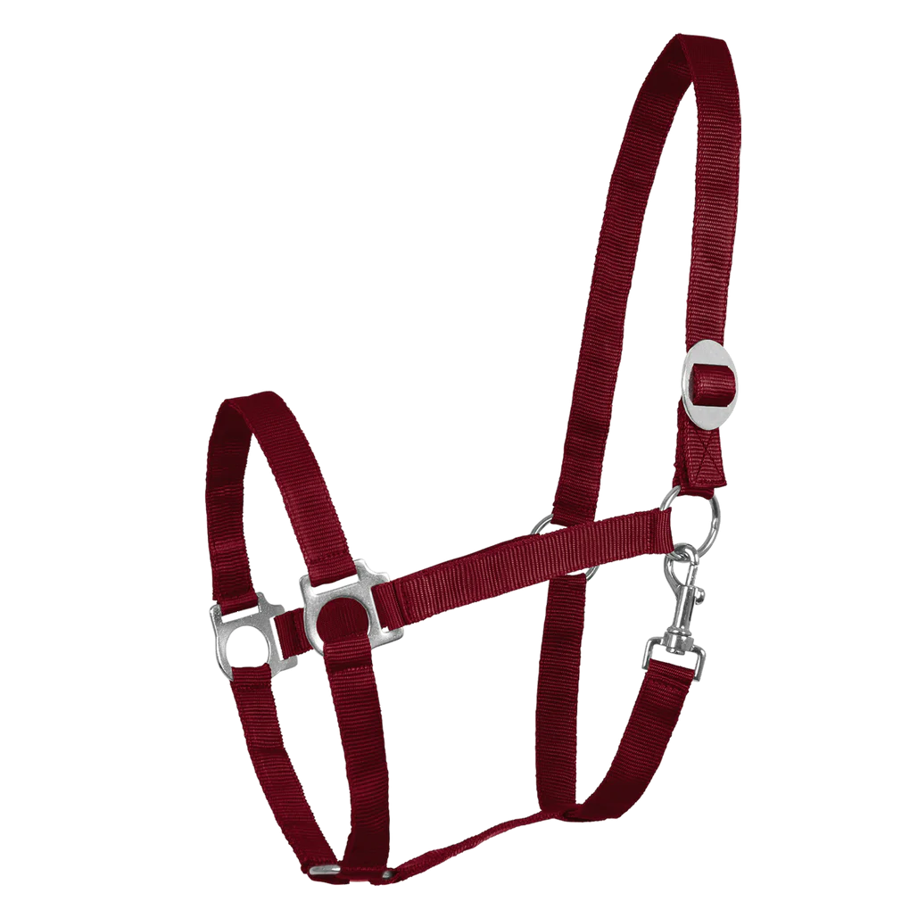 Perlon Foal Halter