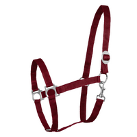 Perlon Foal Halter