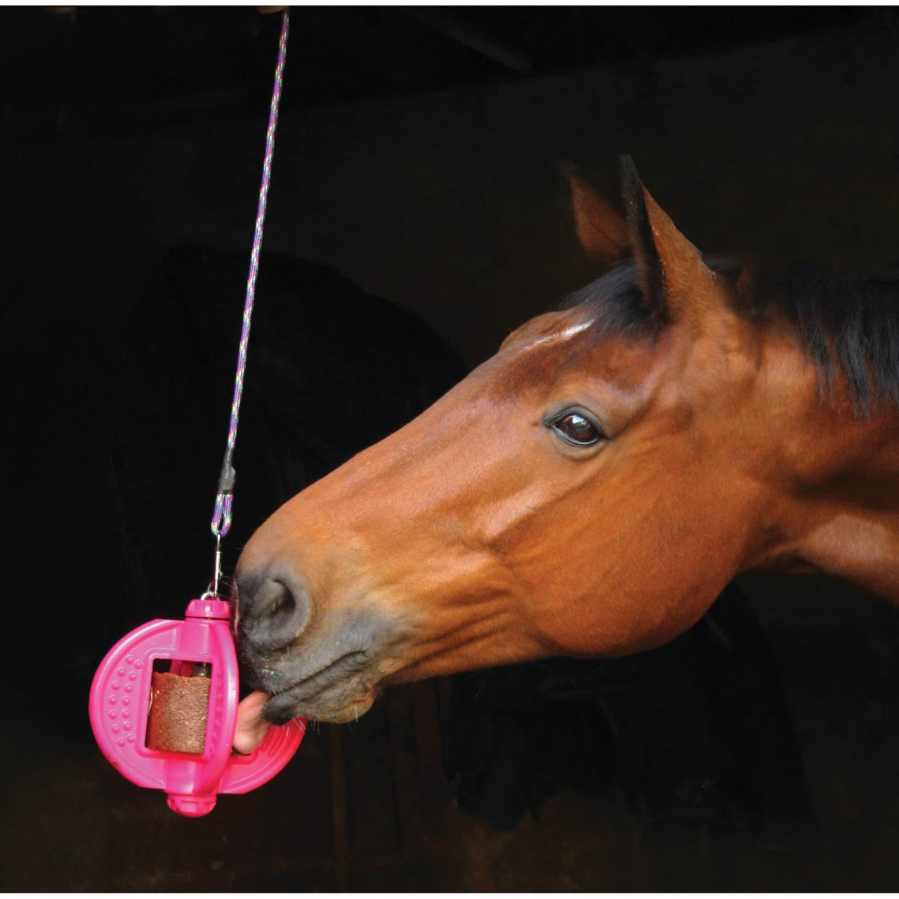 Bizzy Horse Bizzy Ball - Holder Only