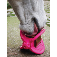 Bizzy Horse Bizzy Ball - Holder Only