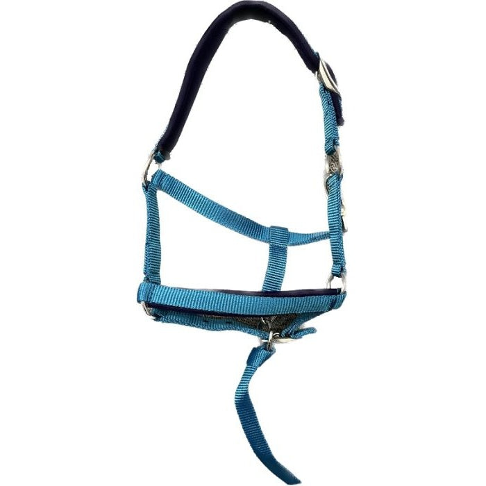 Weanling Mini Nylon Halter with Padding