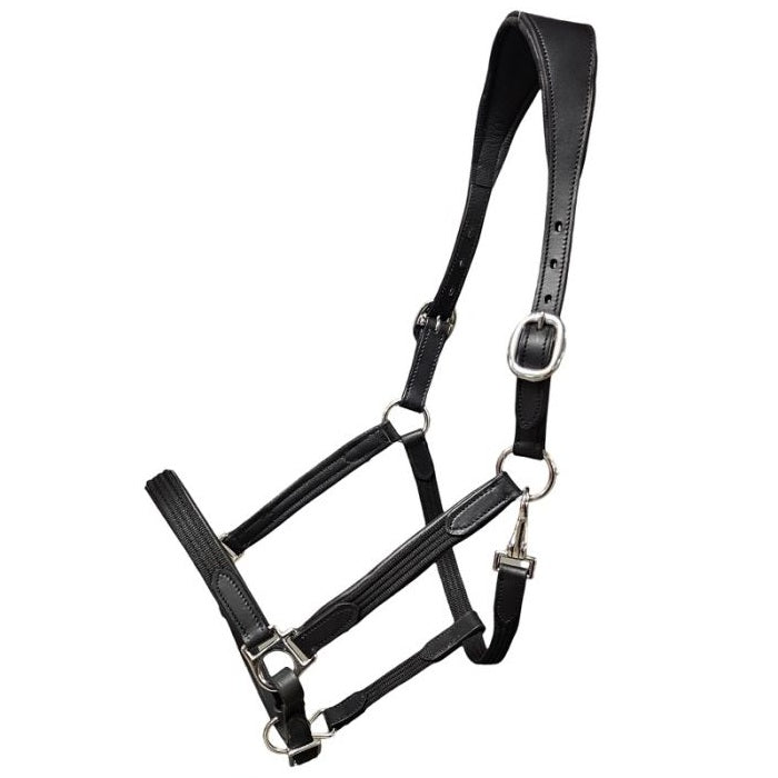 Leather and Nylon Hybrid Halter