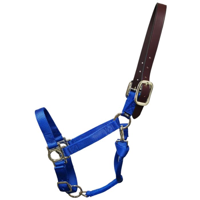 Premium Nylon Halter with Leather Breakaway