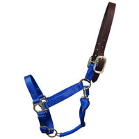 Premium Nylon Halter with Leather Breakaway