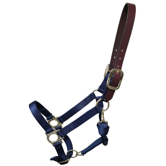 Premium Nylon Halter with Leather Breakaway