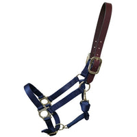 Premium Nylon Halter with Leather Breakaway