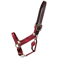 Premium Nylon Halter with Leather Breakaway