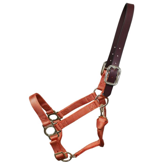 Premium Nylon Halter with Leather Breakaway