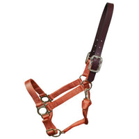 Premium Nylon Halter with Leather Breakaway