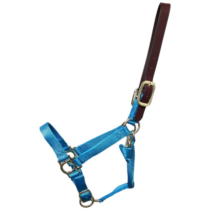 Premium Nylon Halter with Leather Breakaway