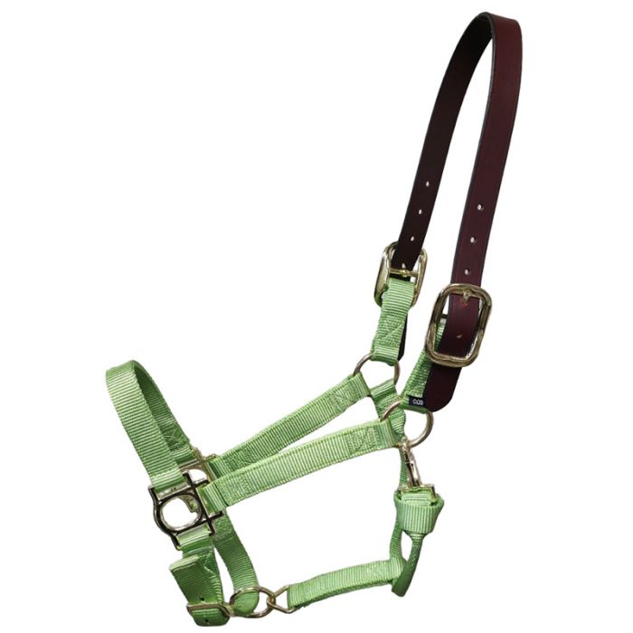 Premium Nylon Halter with Leather Breakaway