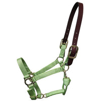 Premium Nylon Halter with Leather Breakaway