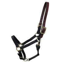 Premium Nylon Halter with Leather Breakaway