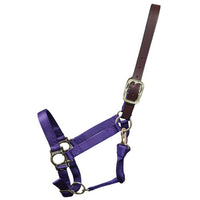 Premium Nylon Halter with Leather Breakaway