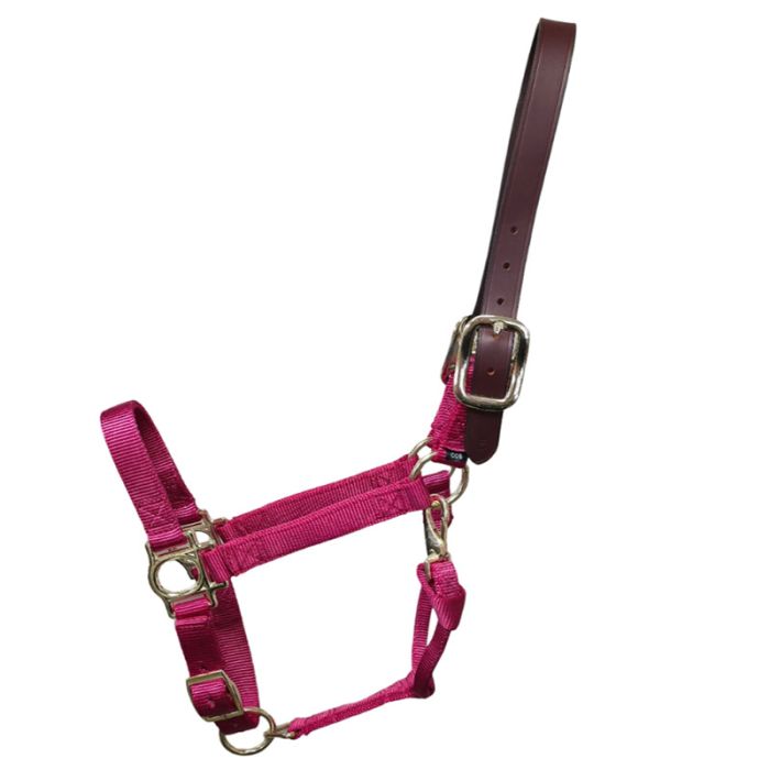 Premium Nylon Halter with Leather Breakaway