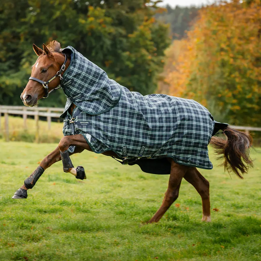 Rhino® Plus 0G Lite Turnout Blanket + FREE Custom Name Tag!
