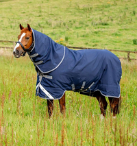 Rhino® Plus Vari-Layer 250G Medium Turnout Blanket + FREE Custom Name Tag!